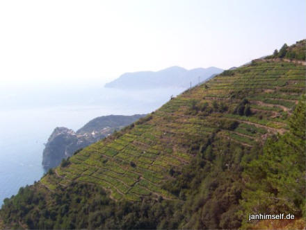 Cinque Terre terassiertes Gelnde