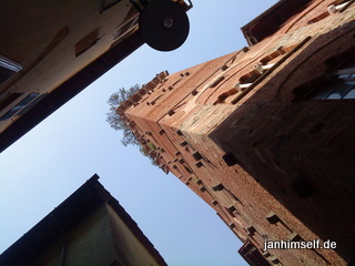 Torre in Lucca